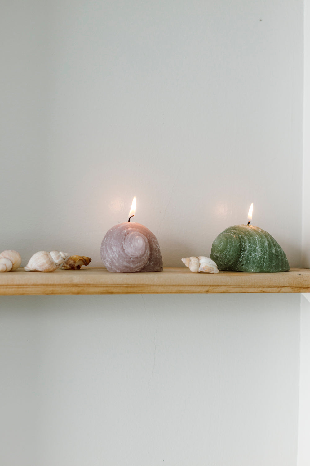 Figurine Shell - White