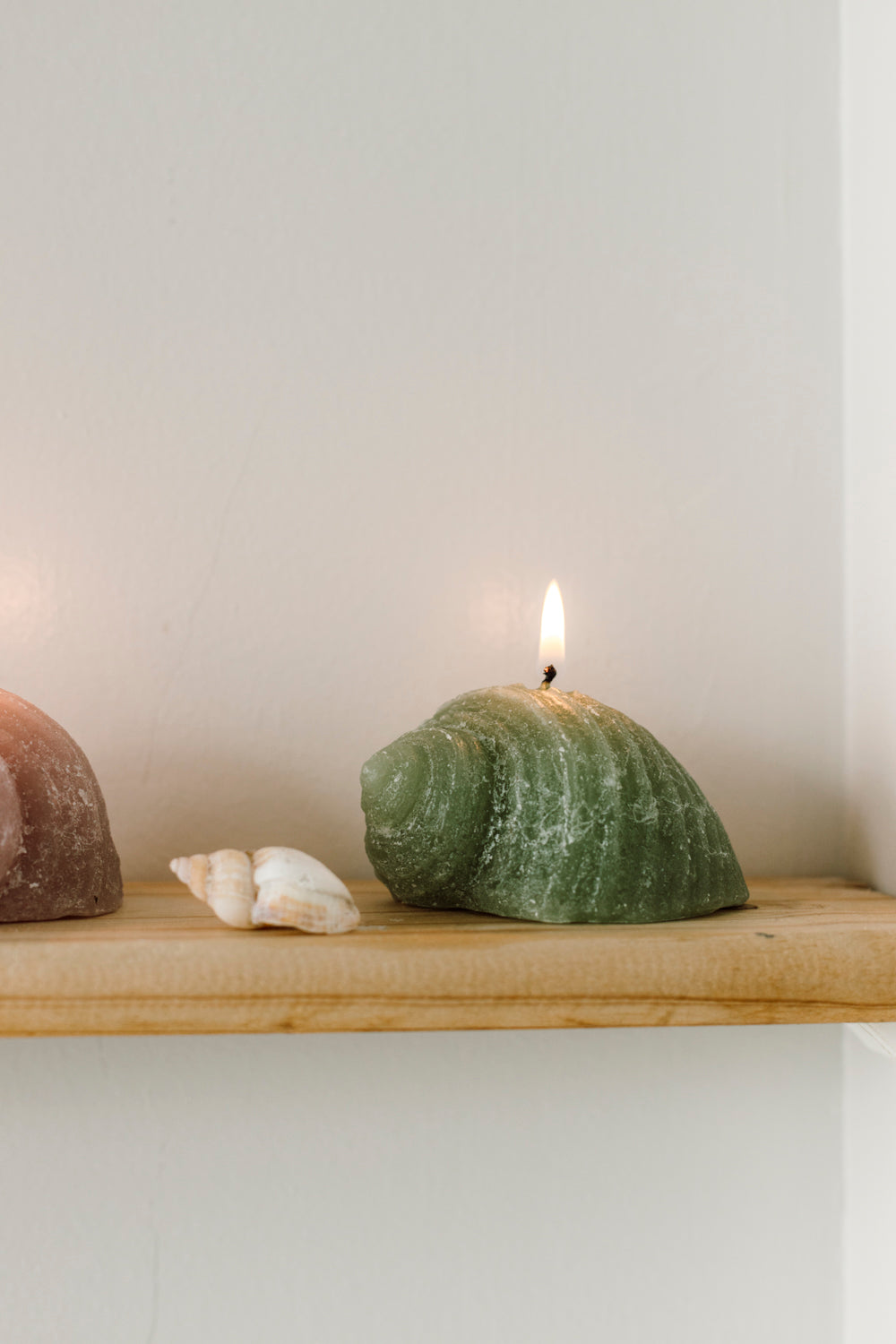 Figurine Shell - Sage