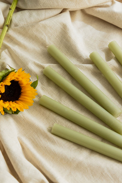 Pack of 6 Plain Frost Dinner Candles – Sage