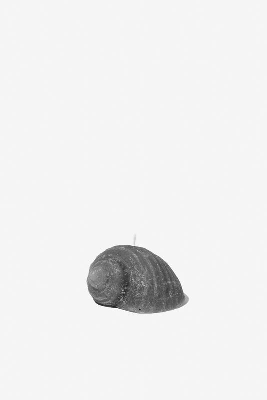 Figurine Shell - Charcoal