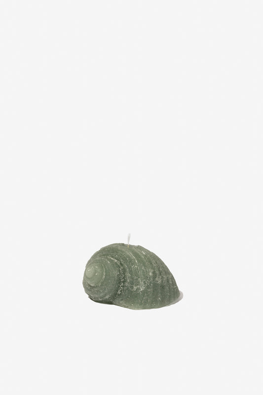 Figurine Shell - Sage